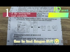CE Dengue Antigen DEN NS1 Rapid Test Kit Cassette For Whole Blood Serum Plasma