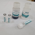 Nasopharyngeal Nasal Swab Sample RNA Isolation Kit Magnetic Bead Reagent kits