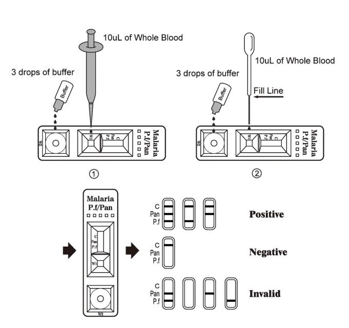 Pan Reagent CE ISO Malaria Pf Pv Pan Diagnostic Kit Whole Blood Malaria Rapid Test Kit